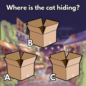Cat and their boxes...it's a true love story! 😍 Can you guess where the cat is hiding? 📦🤔 #IdleMinerTycoon #Cats #HideAndSeek #CatInBox #IdleGames | Idle Miner Tycoon