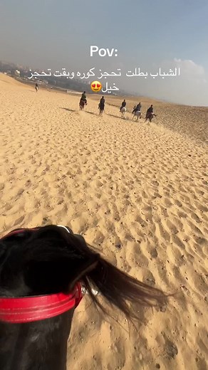 تجربة ركوب الخيل في الهرم: دعوة للأحلام