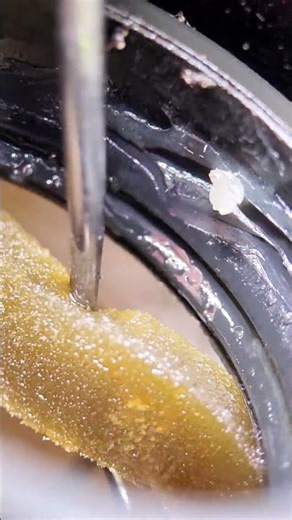 What's happening inside a bicycle suspension fork