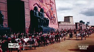 1.3K views · 30 reactions | In Tim Mahoney's new Patterns of Evidence film, he sets out to discover the truth of the Red Sea Miracle: | Cornerstone Television Network | Facebook