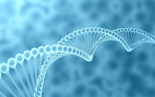 高中生物视频 DNA复制转录和翻译