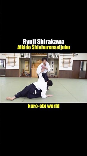 【Aikido】Basic Techniques, Ryuji Shirakawa