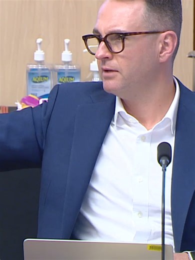 The deflection game feat. Senator Gallagher.