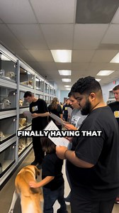 33 reactions | Real puppies are adorable, until you’re stuck paying for bills and cleaning up disaster zones. This robot puppy gives the same excitement without the stress. It walks, barks and plays like the real thing. | WiggyDog - Robot Puppy | Facebook