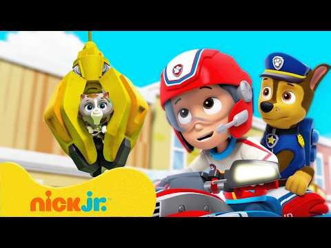 PAW Patrol | 60 Minutes of PAW Patrol Rescues with Kids and Friends! 🐾 | Nick Jr.