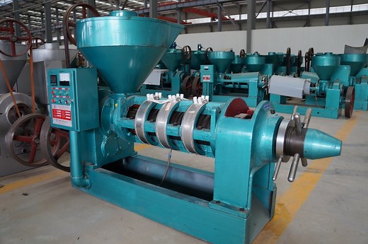 [Hot Item] Black Seed Oil Press Machine Cold Pressed Oil Extraction Machine