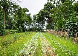 Regenerative Agriculture | PUR