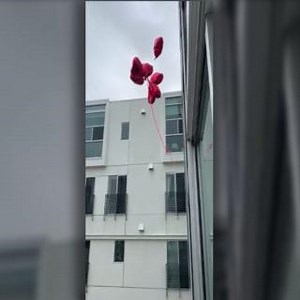 6K views · 50 reactions | When metallic balloons come in contact with power lines, they can cause power lines to burn and fall to the ground--posing a significant threat to public safety and causing outages. Be sure to secure your balloons to enjoy them safely. | Los Angeles Department of Water & Power | Facebook