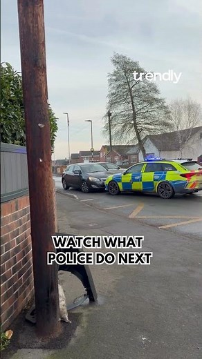 Police Box In Car in Perfect Takedown—Caught on Camera