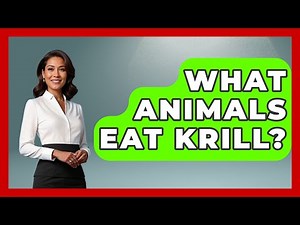 What Animals Eat Krill? - The Marine Life Explorer