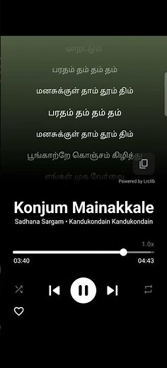 Konjum Mainakkale with Lyrics | Sadhana Sargam Hits | A R Rahman Hits |Kandukondain Kandukondain (3)