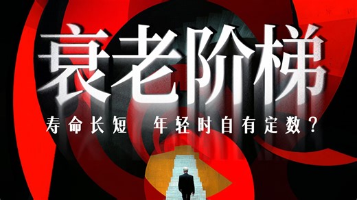 衰老阶梯：寿命长短，年轻时自有定数