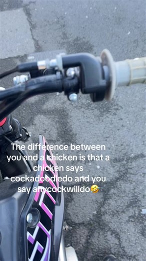 Understanding Chicken Sounds and Their Quirky Humor