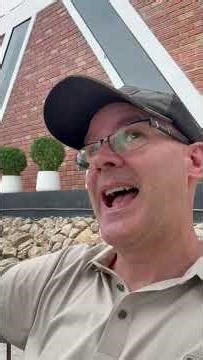 Finding the Amazon Tree Boa: An Epic Rainforest Adventure!