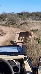 1.1K views · 34 reactions | From the start, our students have been...