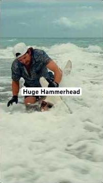 ‼️Helping a Hammerhead Shark. Full Video Dropping Soon 🔥 #sharks #fishing #outdoors #ocean #viral