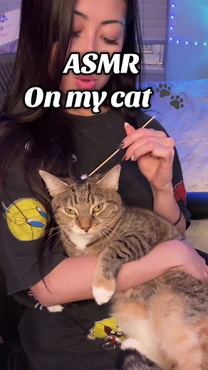 ASMR on My Cat: Soothing Sounds for Relaxation