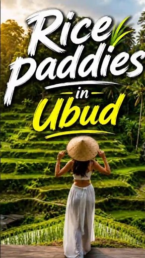 Rice paddies in Ubud, Bali, Indonesia