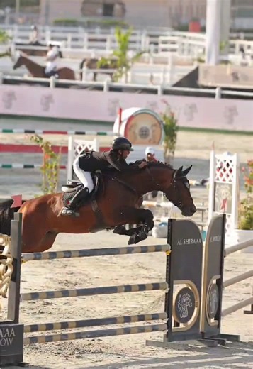 FBMA Equestrian Showjumping Highlights in Abu Dhabi
