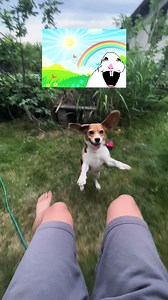 Funny Dog Videos: Beagle Joy & Sunshine Lollipops Remix