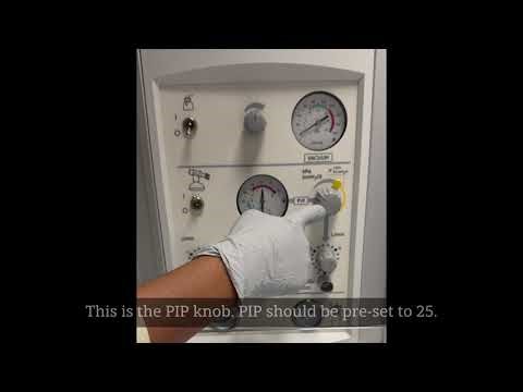 Panda Warmer Tutorial