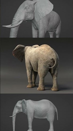African Elephant 3D Model