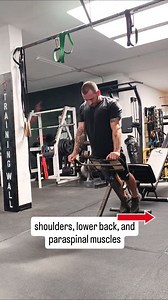 24 reactions |  SHOULDERS, LOWER BACK & PARASPINAL MUSCLES #Thefunctionalmachine #functionalfitness #functionaltraining #shoulders #back #posture | Alessandro Paternò | Facebook