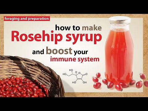 How to make rosehip syrup - foraging and preparation