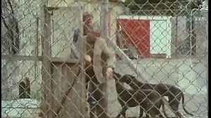 The Mad Death Pt. 2 of 3 (1983 Mini Series)