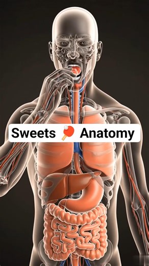 🍬 What Happens Inside Your Body When You Eat Too Much Sugar #ai #shorts #usa #shortsfeed #anatomy