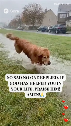 1.3K views · 87 reactions | #love #God #Faith #prayer #Christian #believe #pray | Walk with Jesus | Facebook