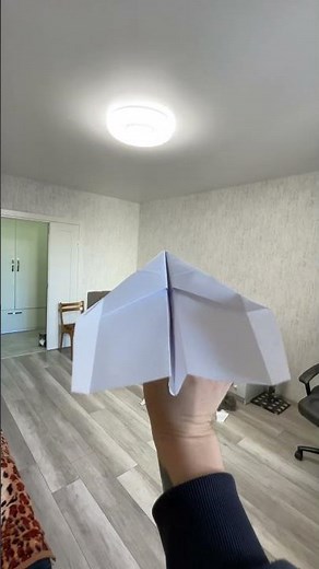 Das Papierflugzeug, das weit weg fliegt 23