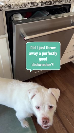 TikTok - Make Your Day