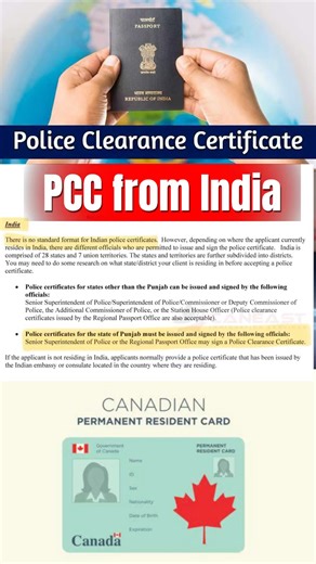 Police Clearance Certificate for PR🇨🇦 #punjabi #canada #permanentresidency #expressentry #pgwp