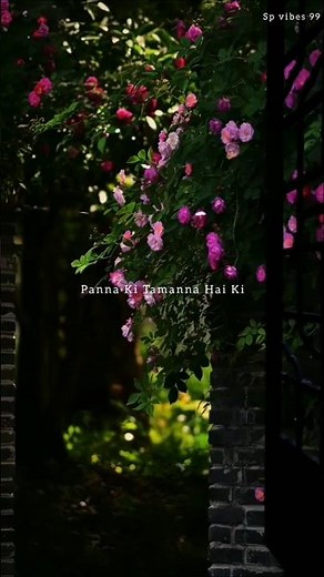 Panna Ki Tamanna Hai Music Video // Ki Heera Mujhe Mil Jaye Lyrics // #trending #lyrics #love