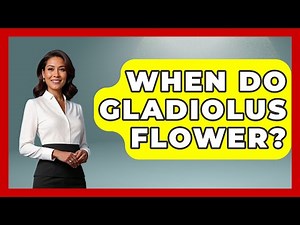 When Do Gladiolus Flower? - The Plant Enthusiast