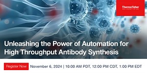 Unleashing the Power of Automation for High Throughput Antibody Synthesis