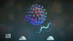 6.7K views · 48 reactions | New rapid #COVID19 testing machines that promise a result in 20 seconds will soon arrive in Australia. But quicker results might not be the fast-track out of the pandemic some promise them to be. #9News | Nightly at 6.00pm | 9 News Melbourne | Facebook