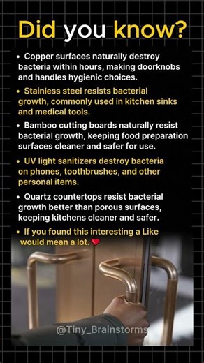 5 Common Objects That Kill Germs Instantly