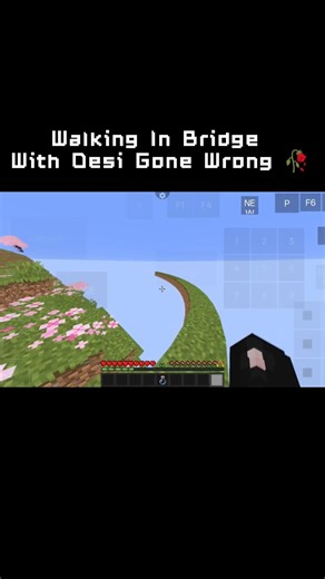Pov: Walking On bridge Being Drunken #minecraft #gaming #memes