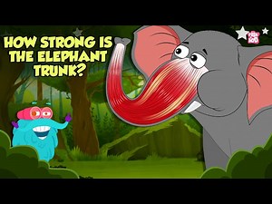 How Strong is An Elephant's Trunk? | Fascinating Facts About An Elephant's Trunk | Dr. Binocs Show - Videos For Kids