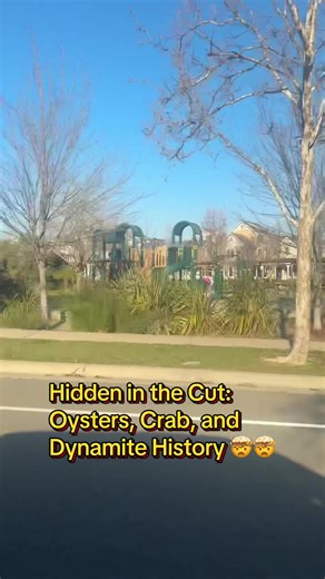 Crab Patty Melt and Historic Explosions in Hercules