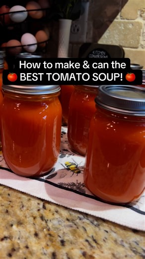 Collins Country on Instagram: "How to make & can the BEST TOMATO SOUP EVER!🙌 Sorry Campbells, but this tomato soup recipe is unmatched!!! The flavor is pure perfection and it only takes 8 simple ingredients! Plus, it’s packed full of nutrition!!!! Enjoy! #canning #homestead #gardening #canningandpreserving #canningseason #tomatosoup #tomatosouprecipe #easyrecipes #canningforbeginners #delicious #foodpreservation #tomatoes"