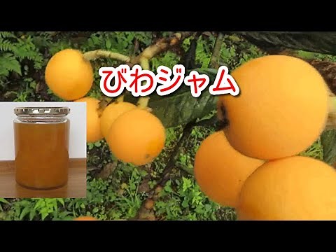 簡単でおいしい！ 自家製びわジャムの作り方