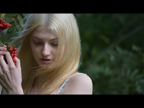 Tim Hardin - Reason To Believe [HD]