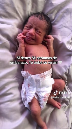 36 Weeks Pregnant: Your Baby's Development at This Stage