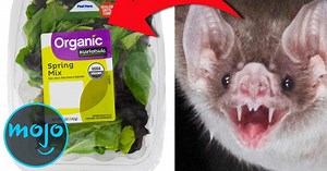 Top 10 Disgusting Food Recalls | Articles on WatchMojo.com