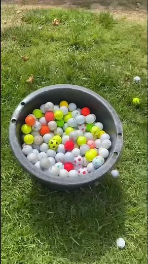 We make $100k+ a year selling golf balls!