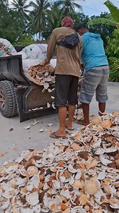 820K views · 5.3K reactions | Update Harga Kopra Hari ini Rabu 14 Mei 2025 Alamat/Lokasi : Kel Lembomawo Kec Poso Kota Selatan Kabupaten Poso Sulawesi Tengah  | Hamzah Abd Hamid | Facebook