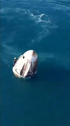 A very Florida welcome! 🐬 Welcome back, Crew-9!